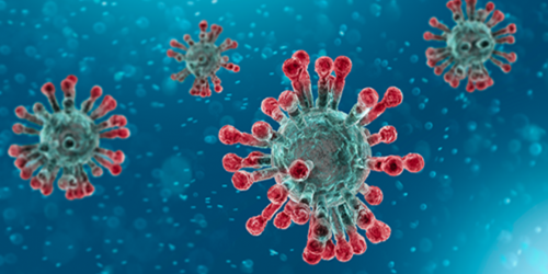 8 easy steps to fight the coronavirus